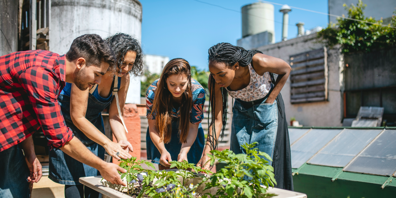 The Benefits of Starting a Community Garden